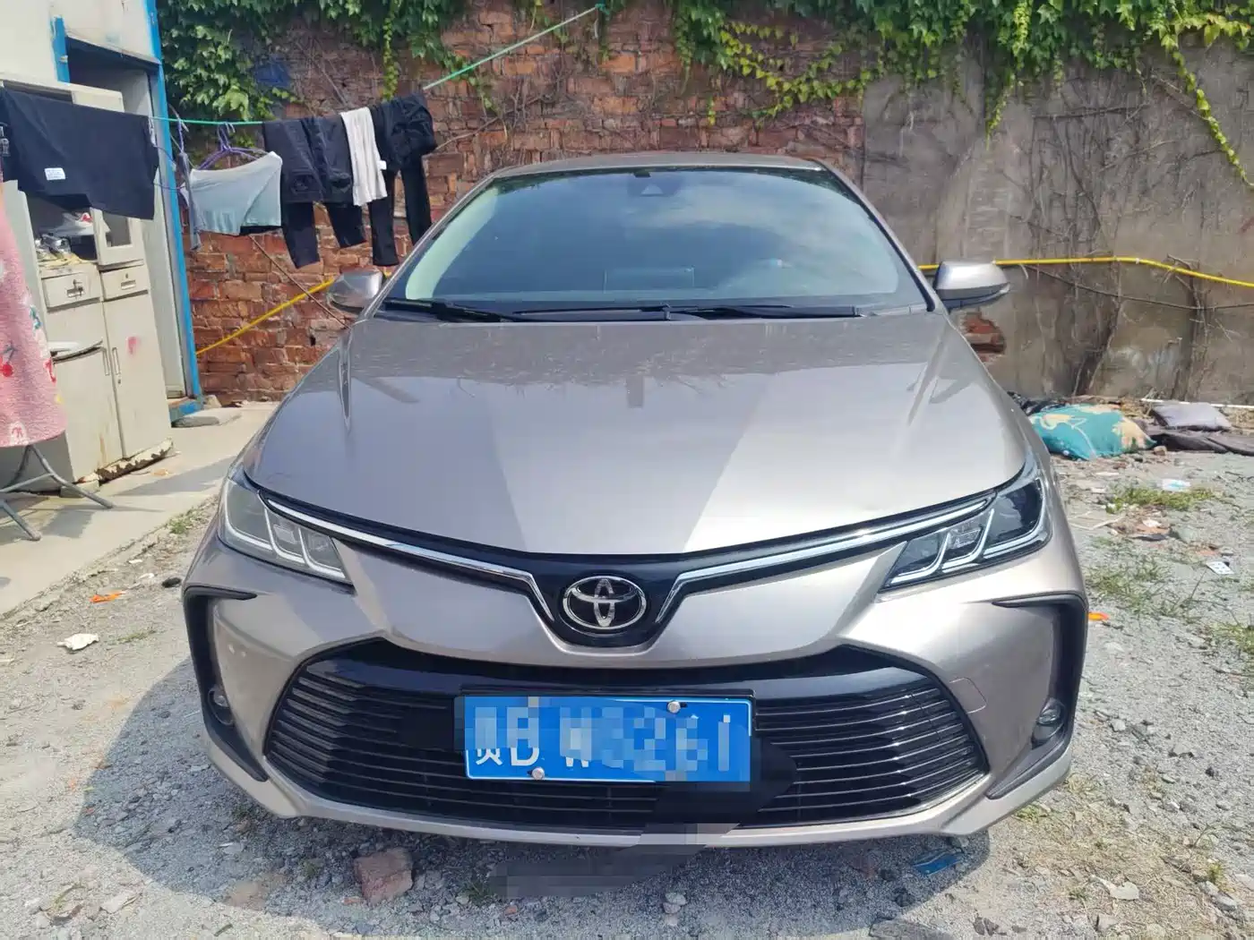 Toyota Corolla 2023 1.2T Elite Edition фото 5