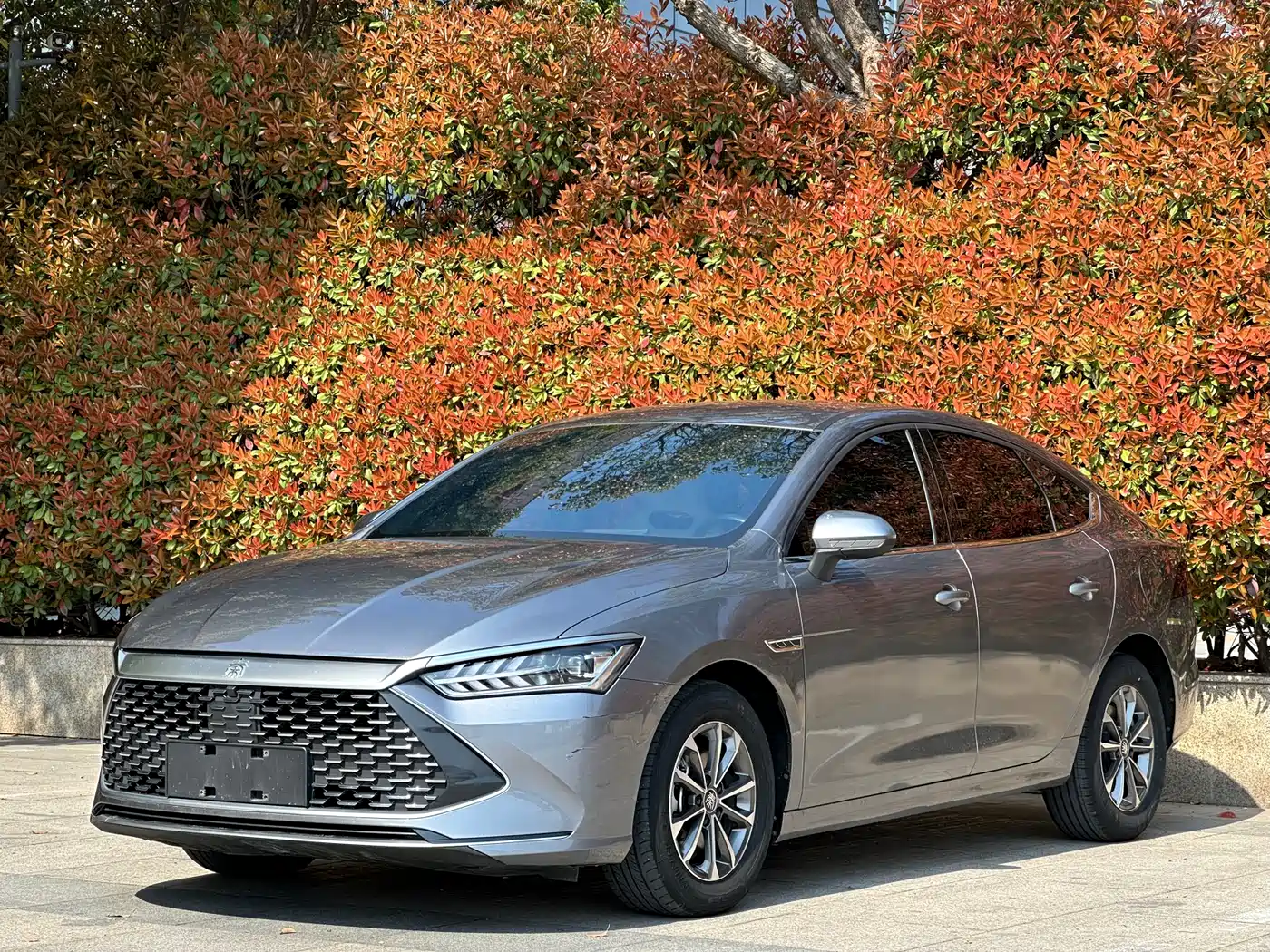 BYD Qin PLUS 2023 Champion Edition DM-i 55KM Leading фото 10