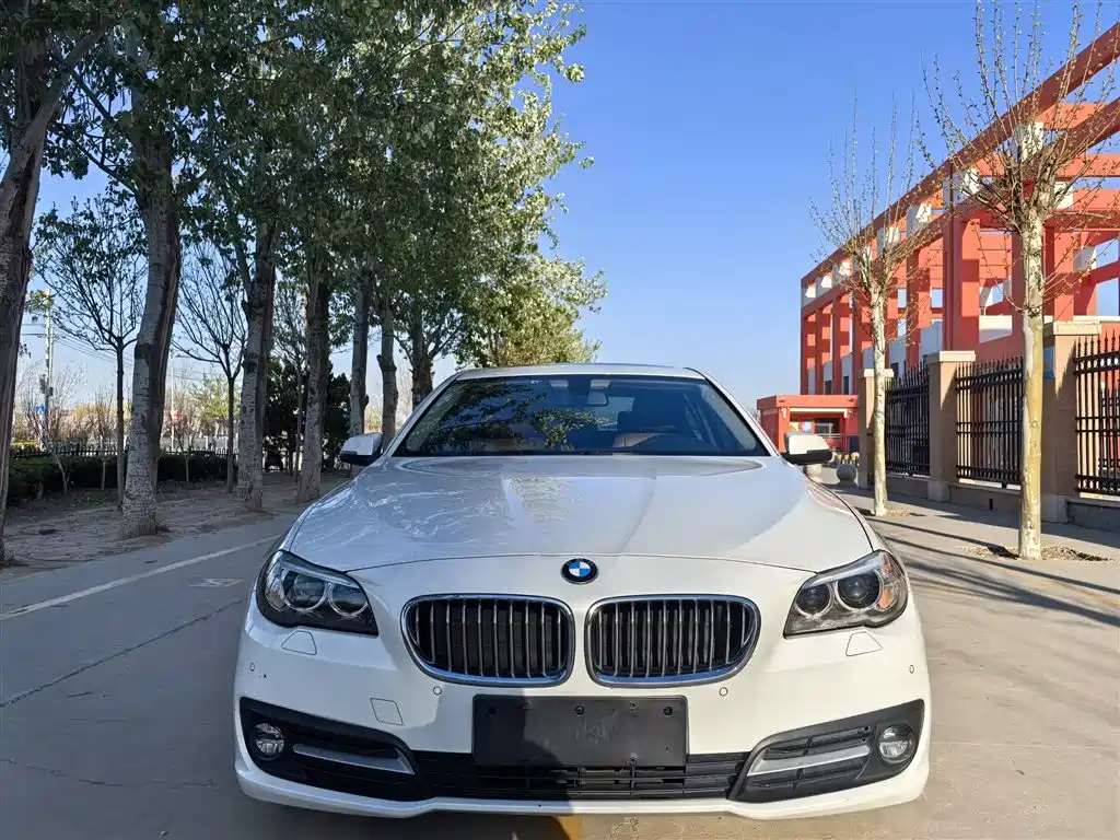 BMW 5 Series 2017 520Li Classic Edition фото 3