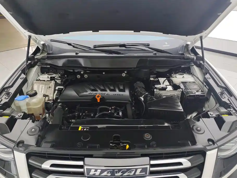 Haval Big Dog 2021 1.5T DCT 2WD Border Collie Edition фото 10