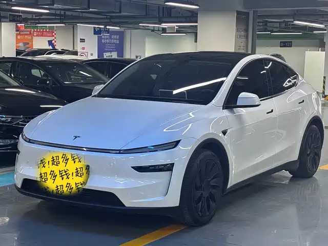Tesla Model Y Увеличенный запас хода, полный привод