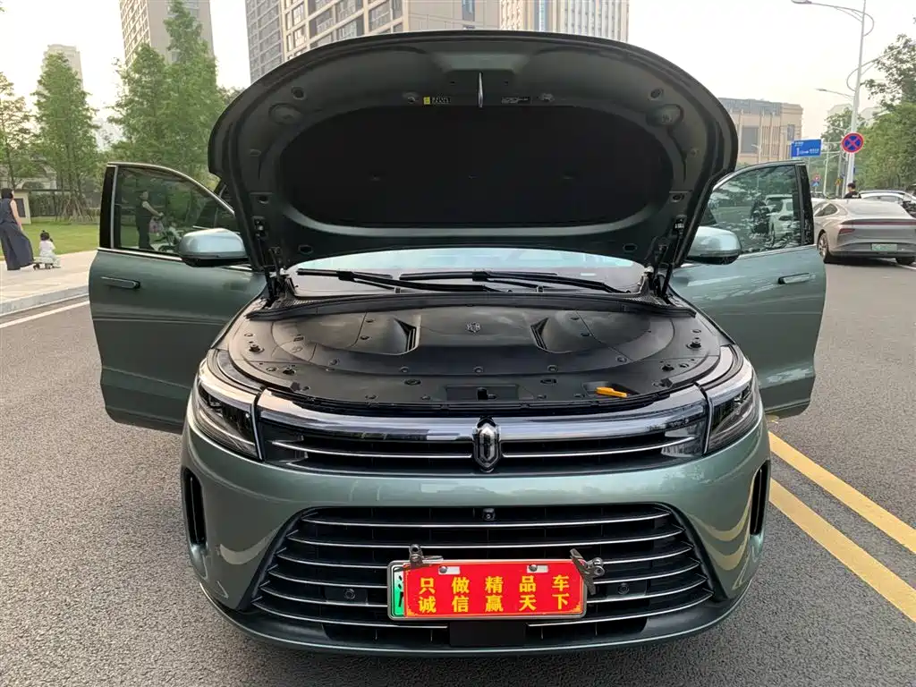 AITO Wenjie AITO M7 2022 1.5T RWD Comfort Edition фото 19