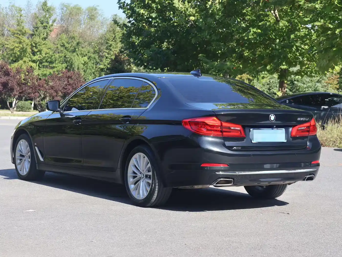 BMW 5 Series 2019 530Li xDrive Luxury Package фото 8
