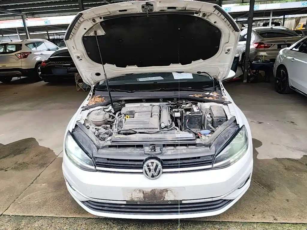 صورة 20 - Volkswagen Golf