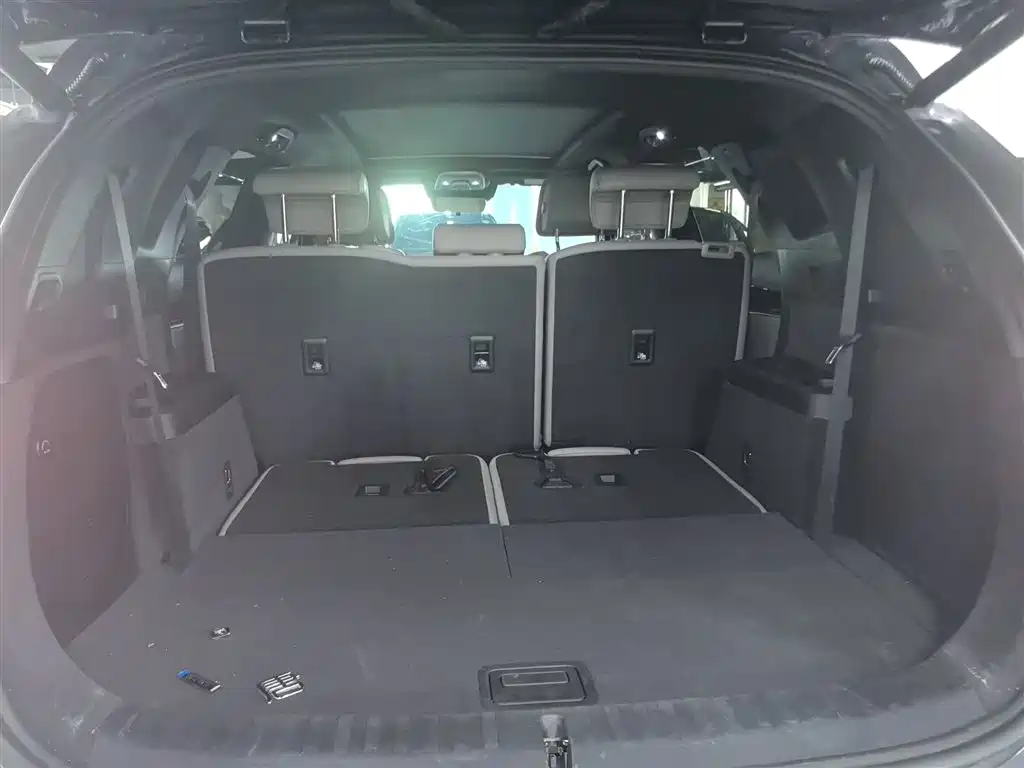 BYD Tang New Energy 2025 Smart Driving Edition DM-i 115KM Flagship фото 15