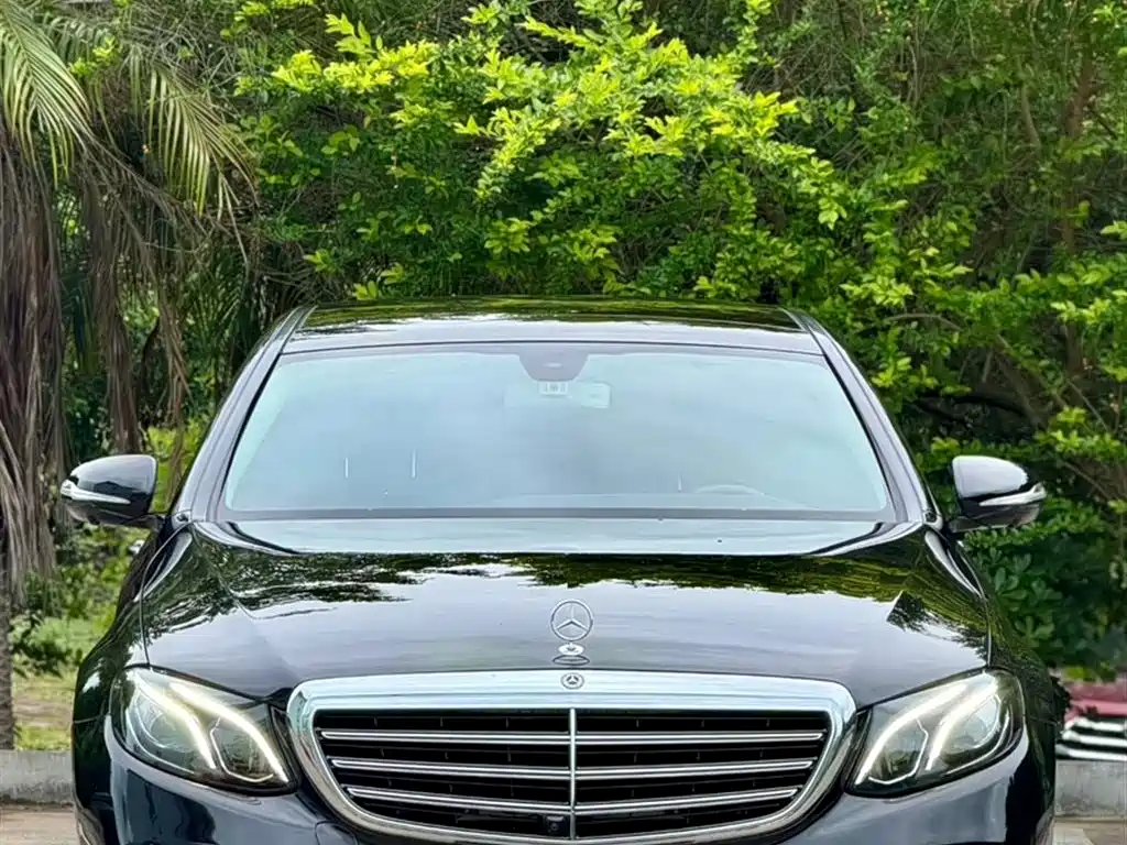 Mercedes-Benz E-Class 2020 E 300 L Luxury Model фото 3