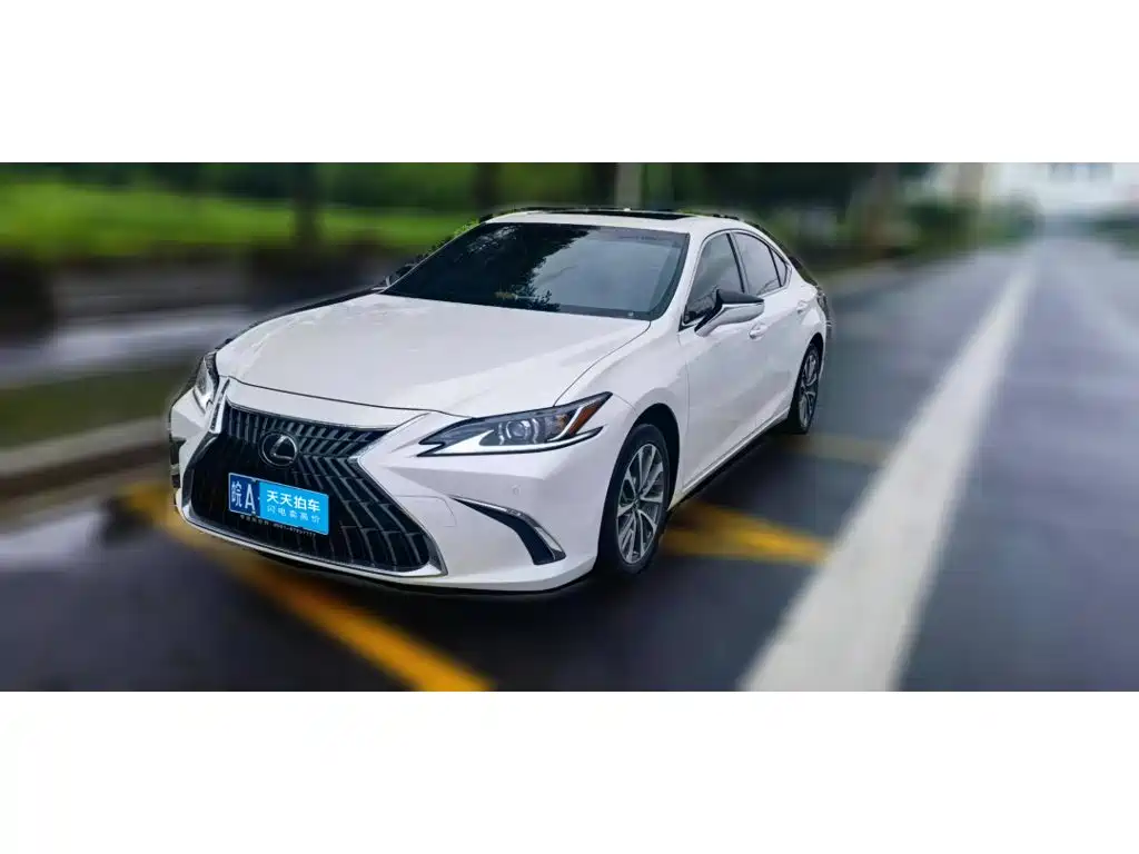  Lexus Lexus ES 2024 200 Premium Edition
