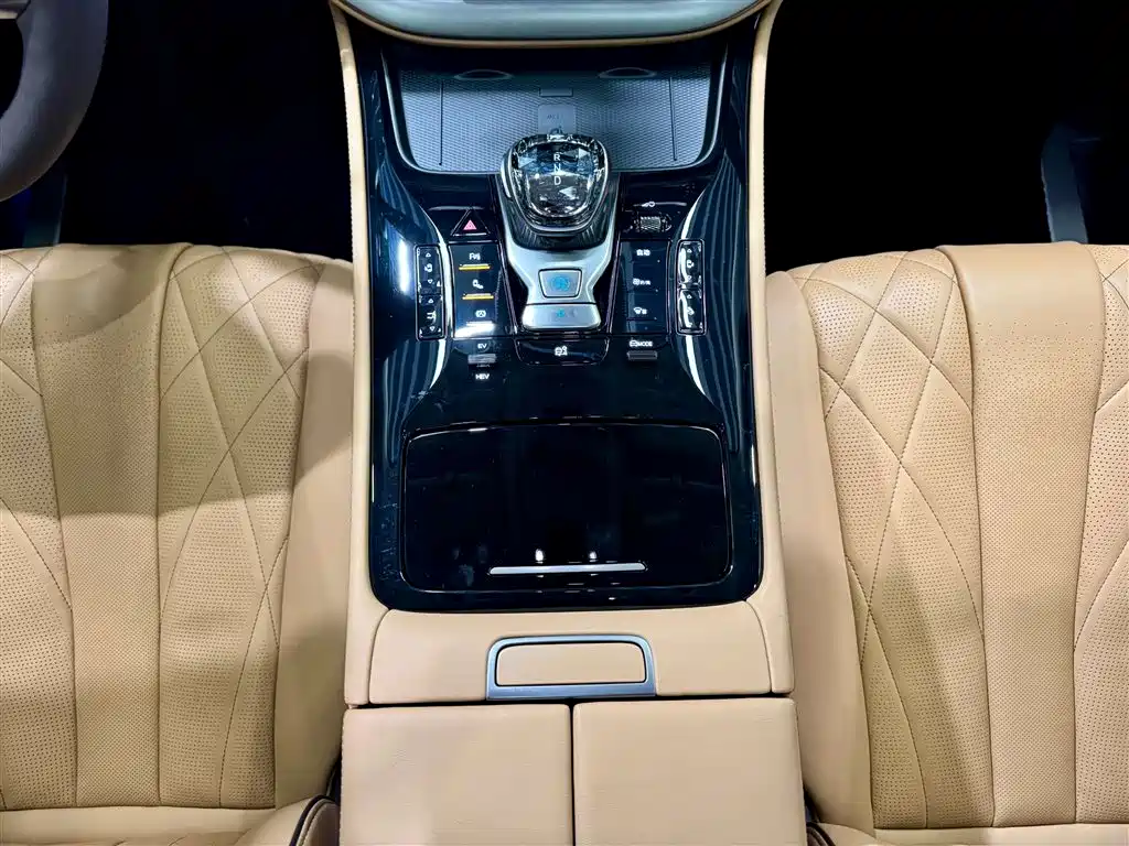 Denza D9 2024 DM-i 980 AWD Prestige фото 20