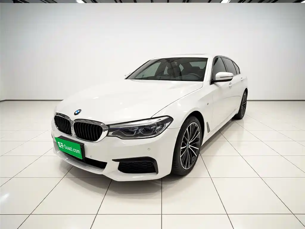 BMW 5 Series 2020 530Li Exclusive M Sport Package фото 2