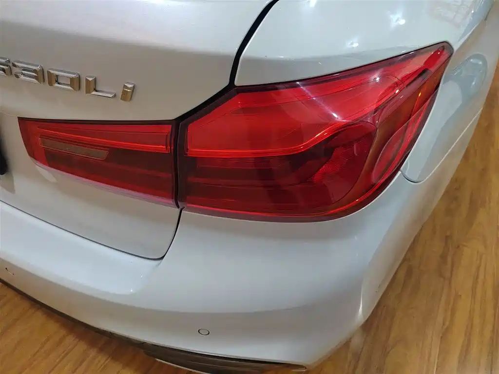 BMW 5 Series 2020 530Li Exclusive M Sport Package фото 8