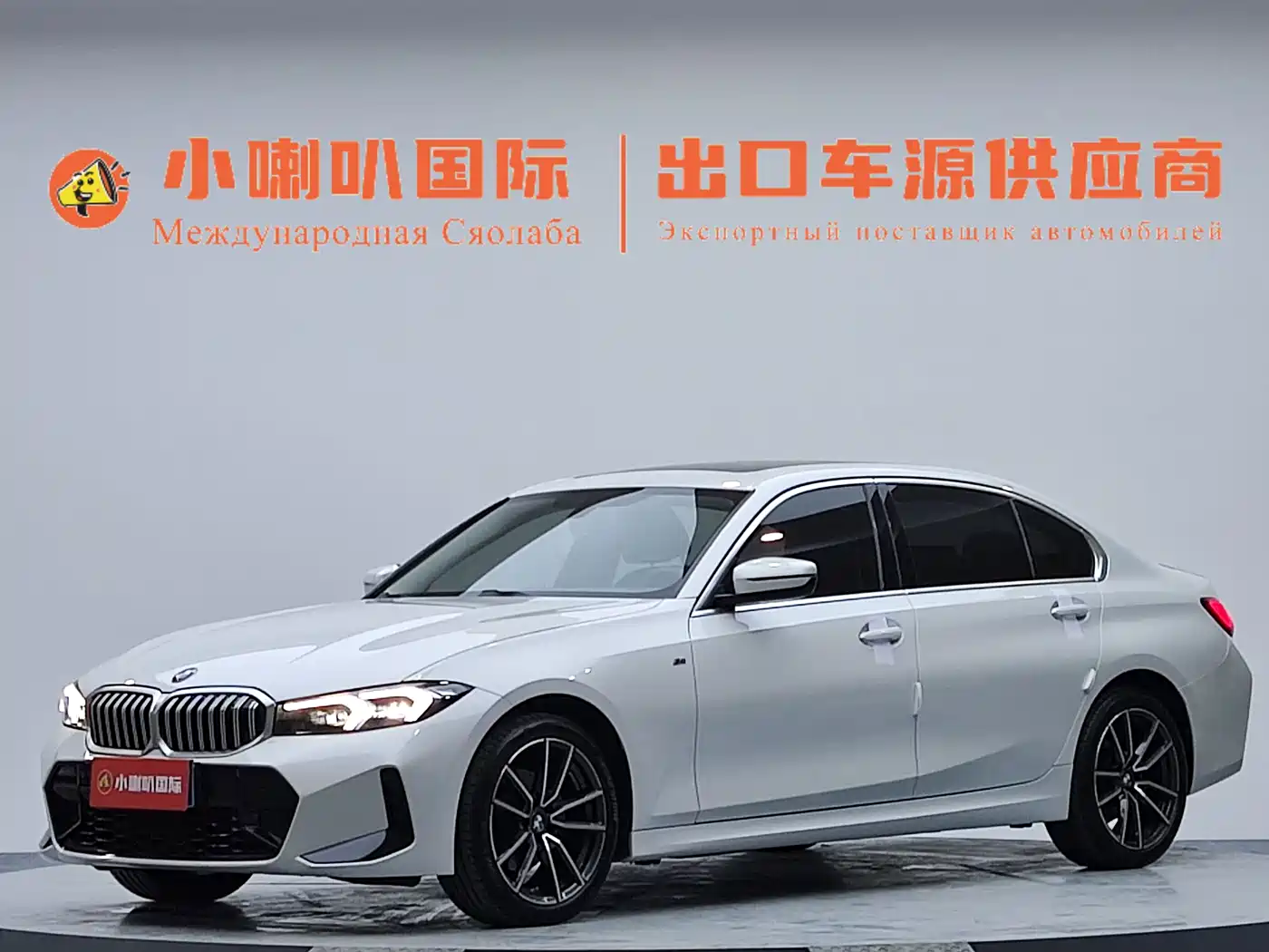 BMW 3 Series 2023 320Li M Sport Package