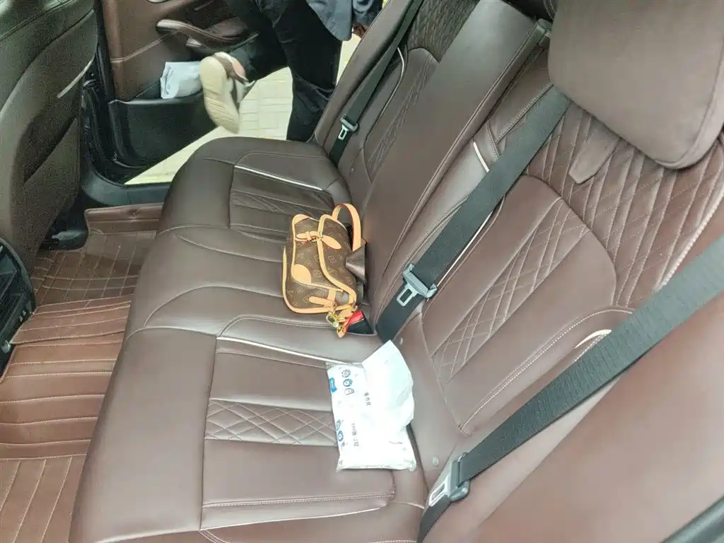 BMW 5 Series 2020 530Li Leading Luxury Package фото 15