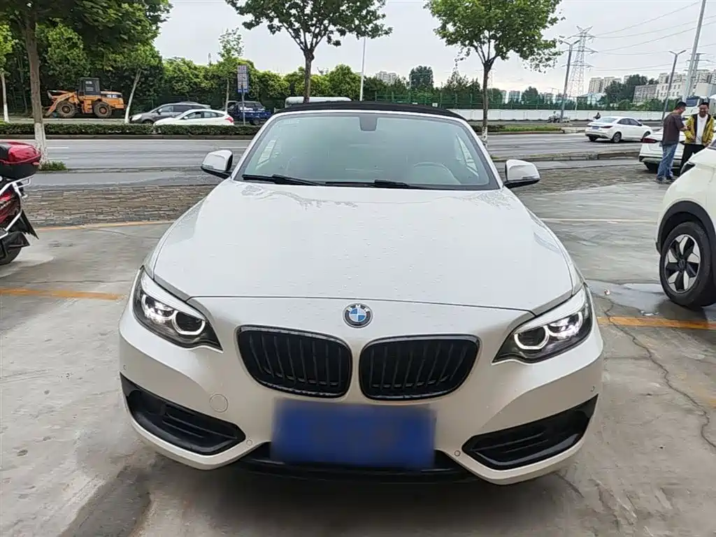 BMW 2 Series (Import) 2018 220i Convertible Coupe Sport Design Package фото 3