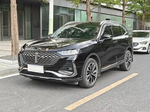 wei-pai wei-brand-latte-dht