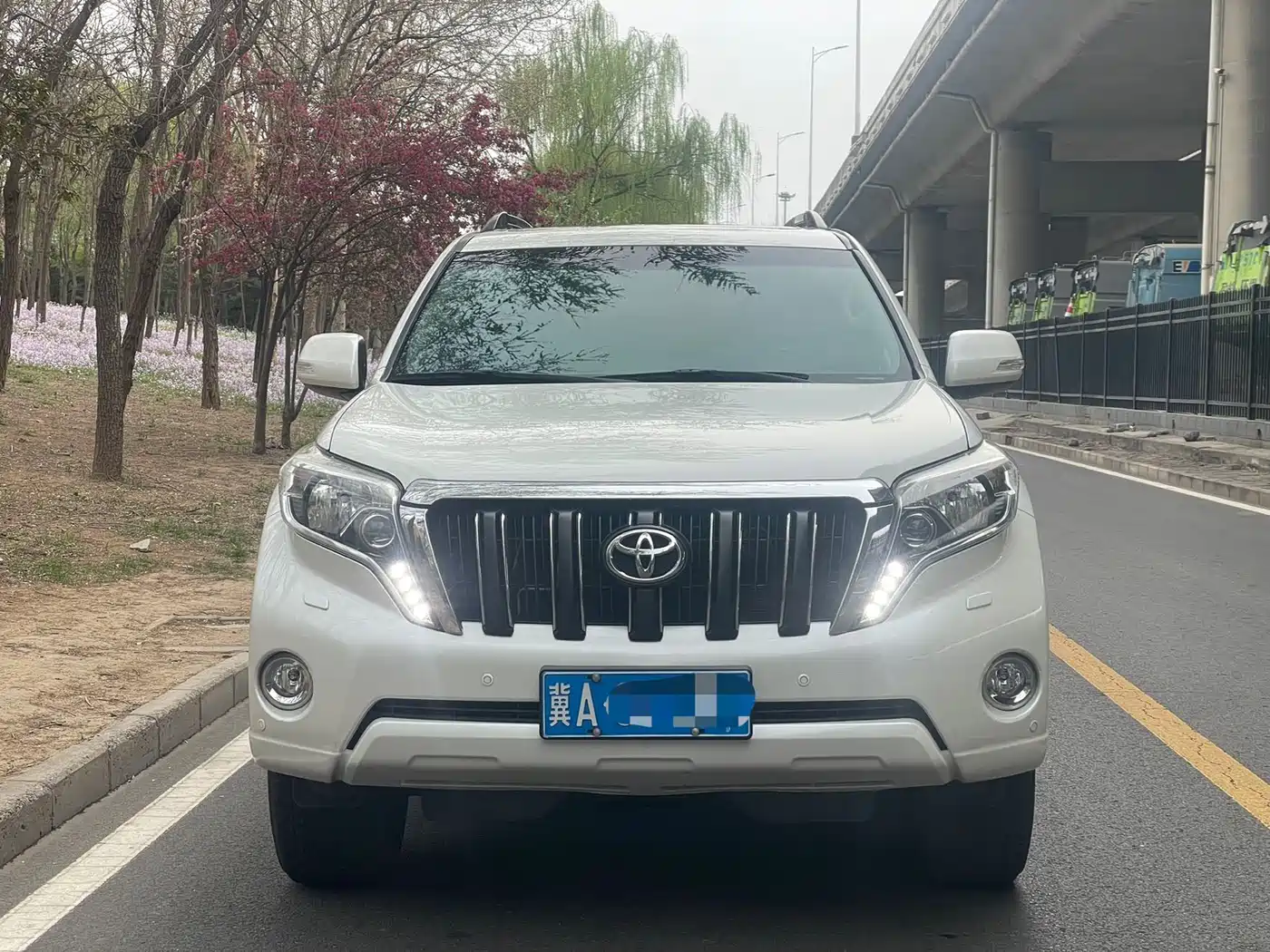 TOYOTA PRADO