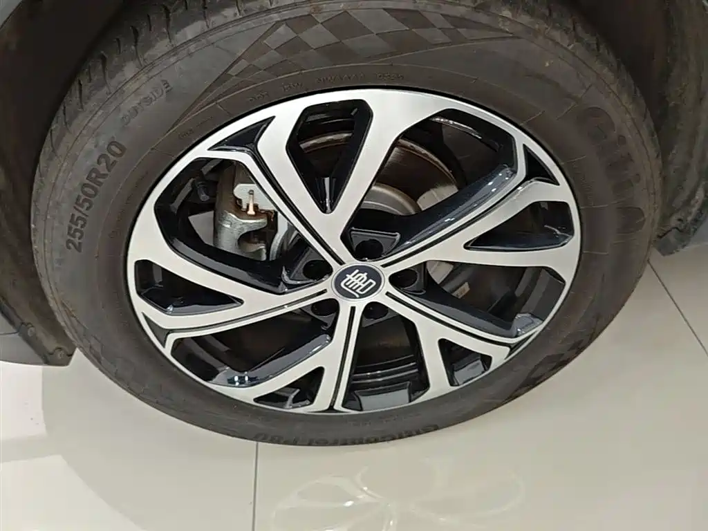 BYD Tang New Energy 2025 Smart Driving Edition DM-i 115KM Flagship фото 23