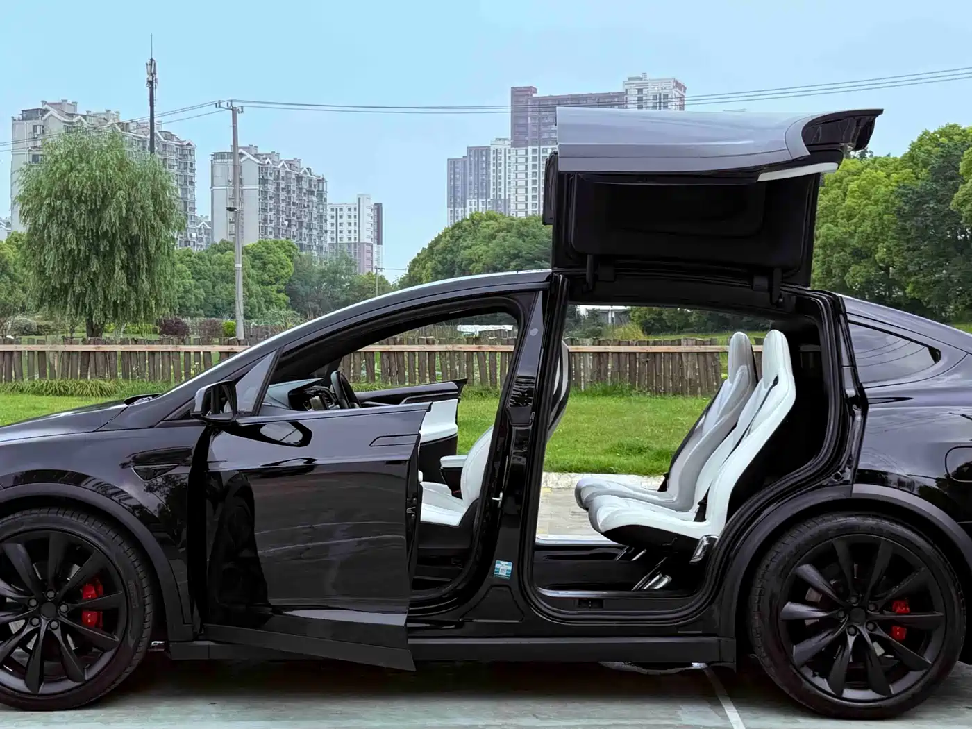 Tesla Model X 2019 Performance High-performance Version фото 5