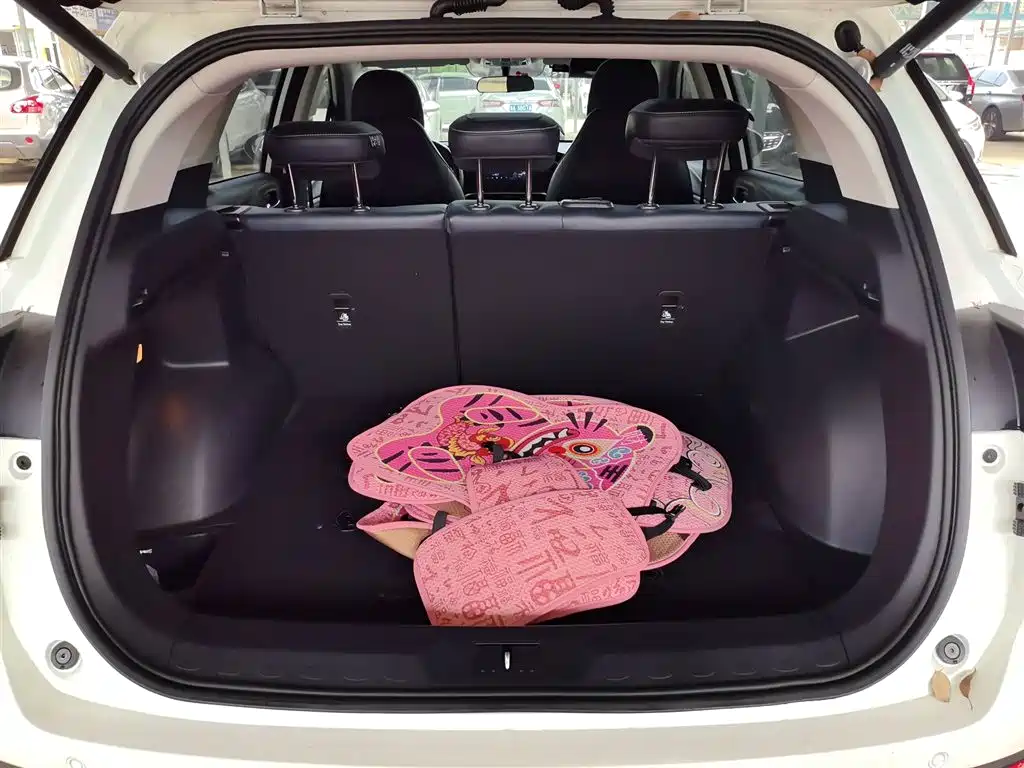 GAC Trumpchi Trumpchi GS4 2022 270T Auto Pilot Edition фото 19