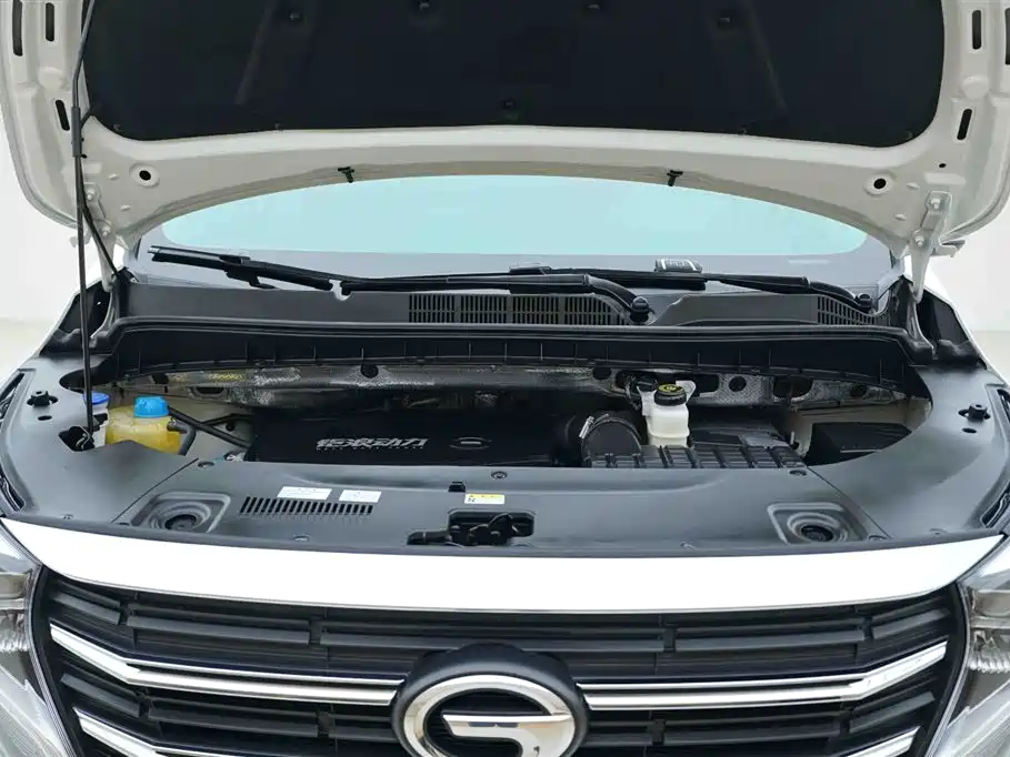 GAC Trumpchi Trumpchi M8 2021 Leading Show Series 390T Luxury Edition фото 7