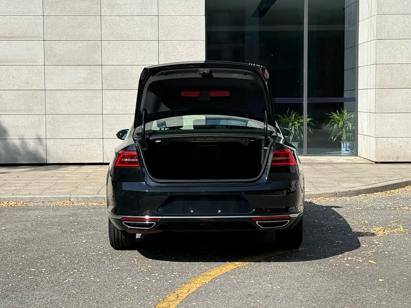 صورة 16 - Volkswagen Magotan