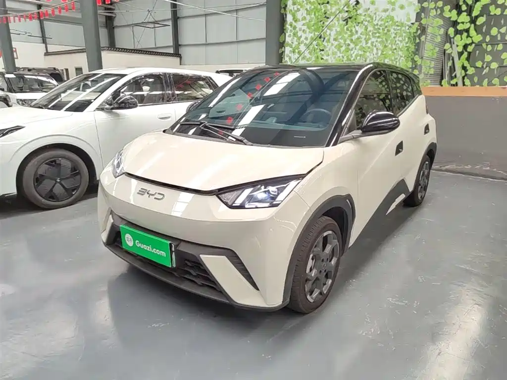 BYD Seagull 2024 Glory Edition 305km Freedom Edition фото 2