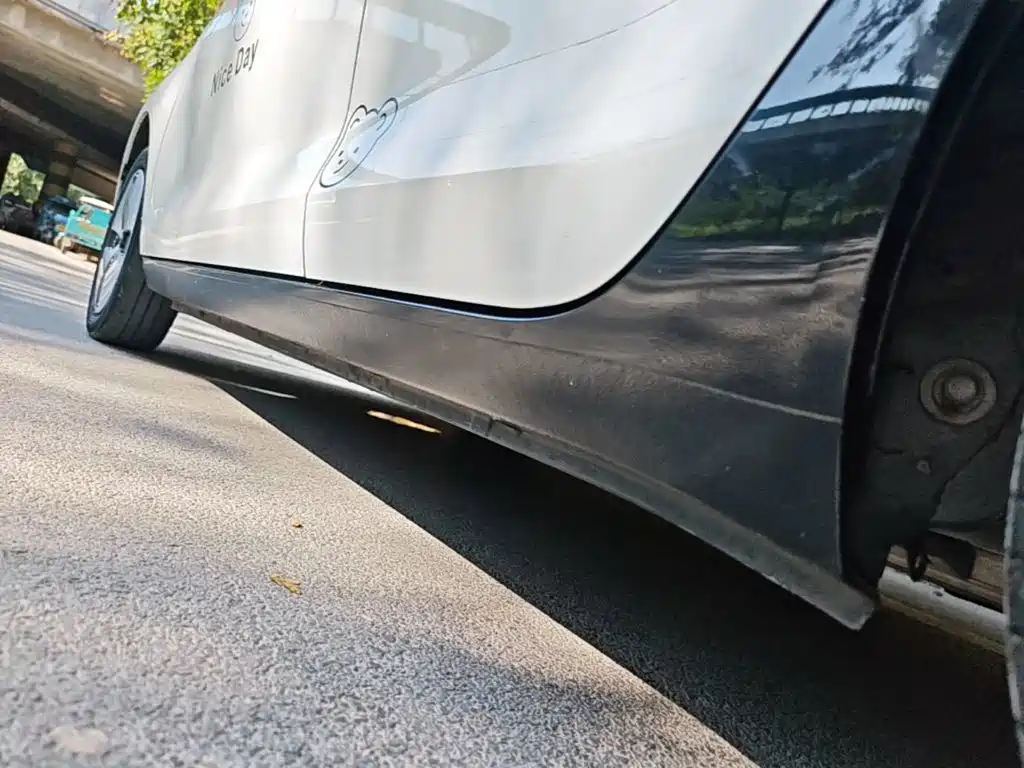Ora Black Cat 2022 2022 Facelift 301km Pet Edition LFP Version