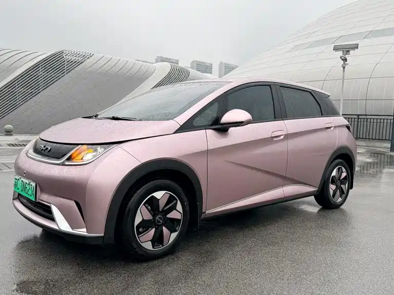  BYD Dolphin 2025 420km Freedom Edition