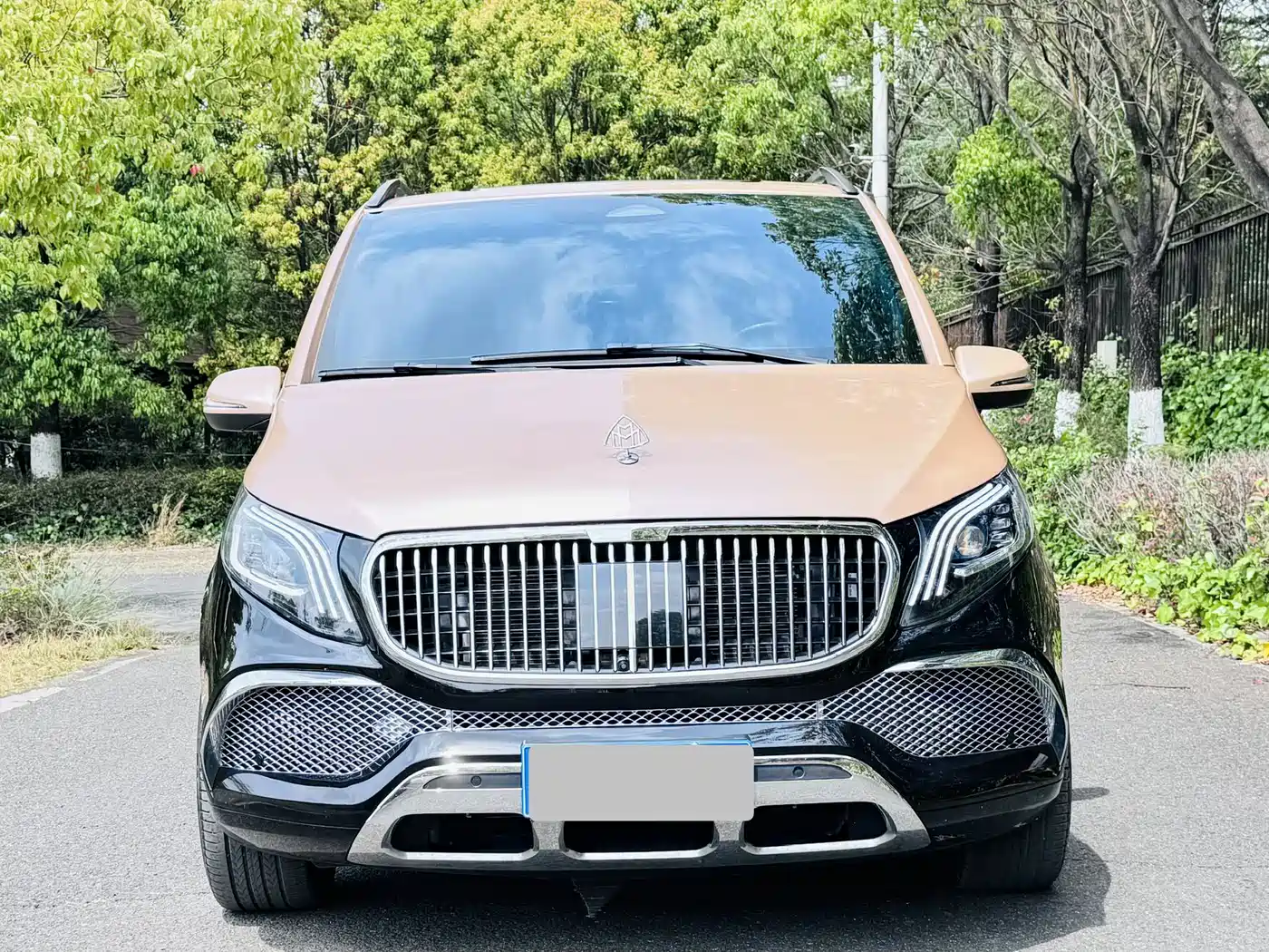 Mercedes-Benz Vito 2024 2.0T Elite Edition 7-Seater фото 2