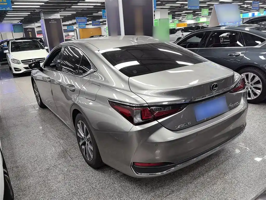 Lexus ES 2020 200 Luxury фото 23