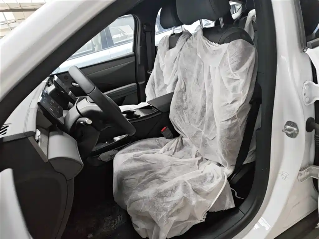BYD Qin PLUS 2026 DM-i Smart Edition 128KM Progressive фото 15