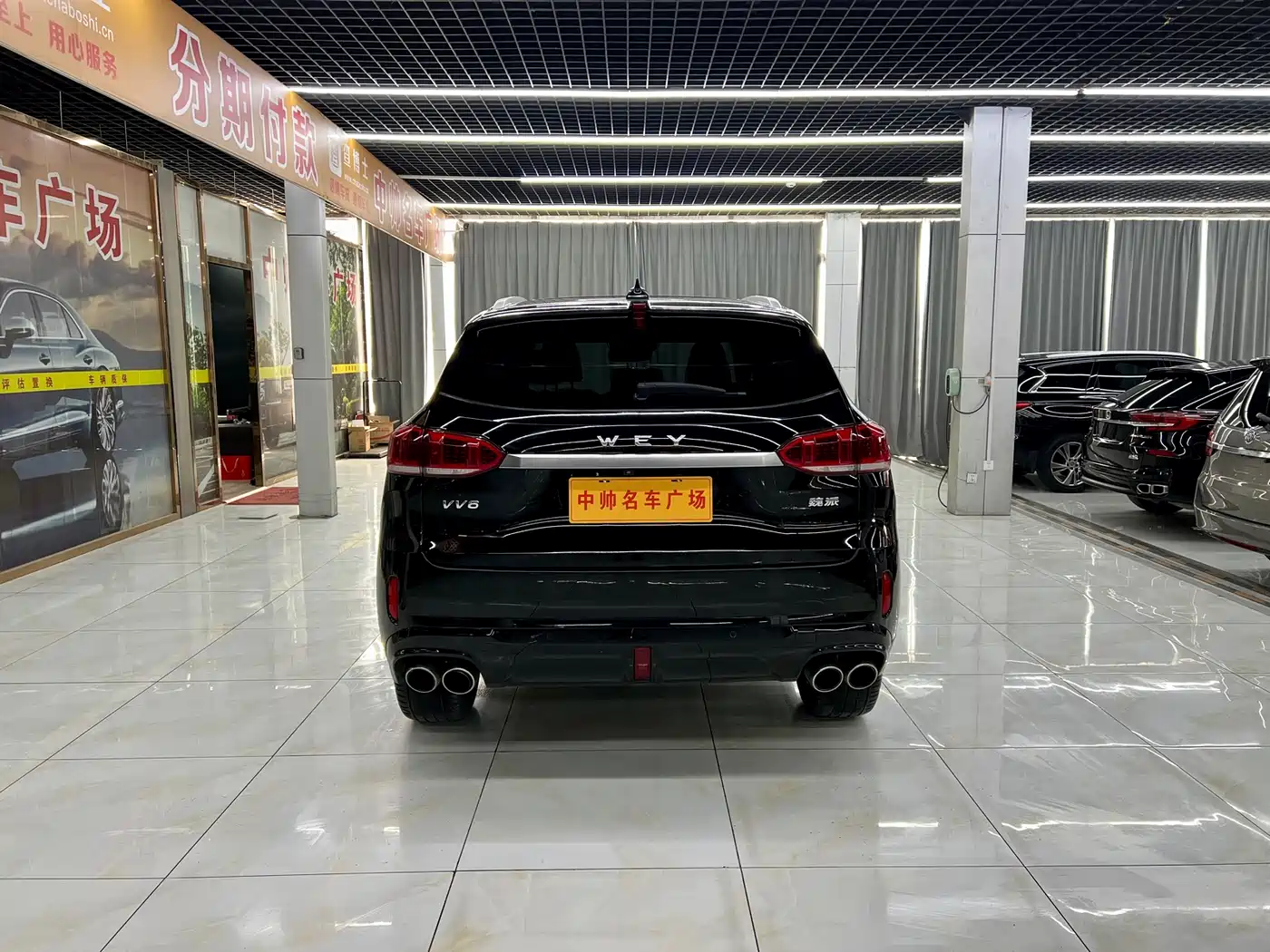 WEI PAI WEI BRAND VV6