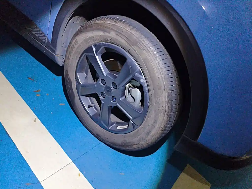 Geely Geometry E Firefly 2022 2022 320KM Well-behaved Tiger 4-seater