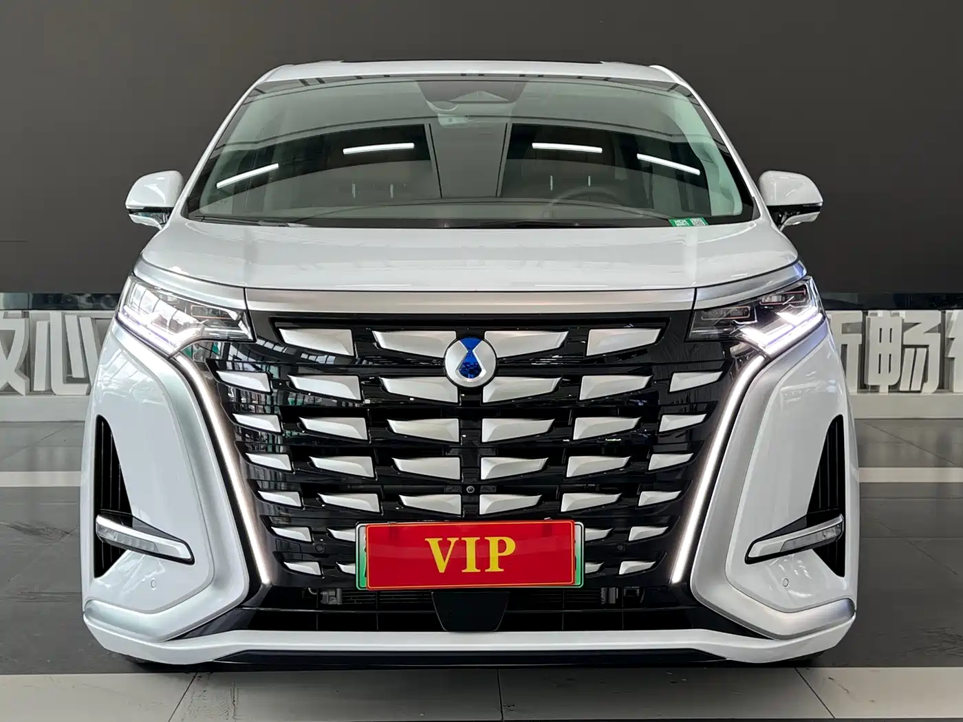 Denza D9 2022 DM-i 970 AWD Flagship фото 3