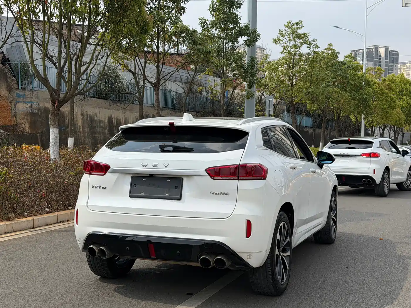 WEI PAI WEI BRAND VV7