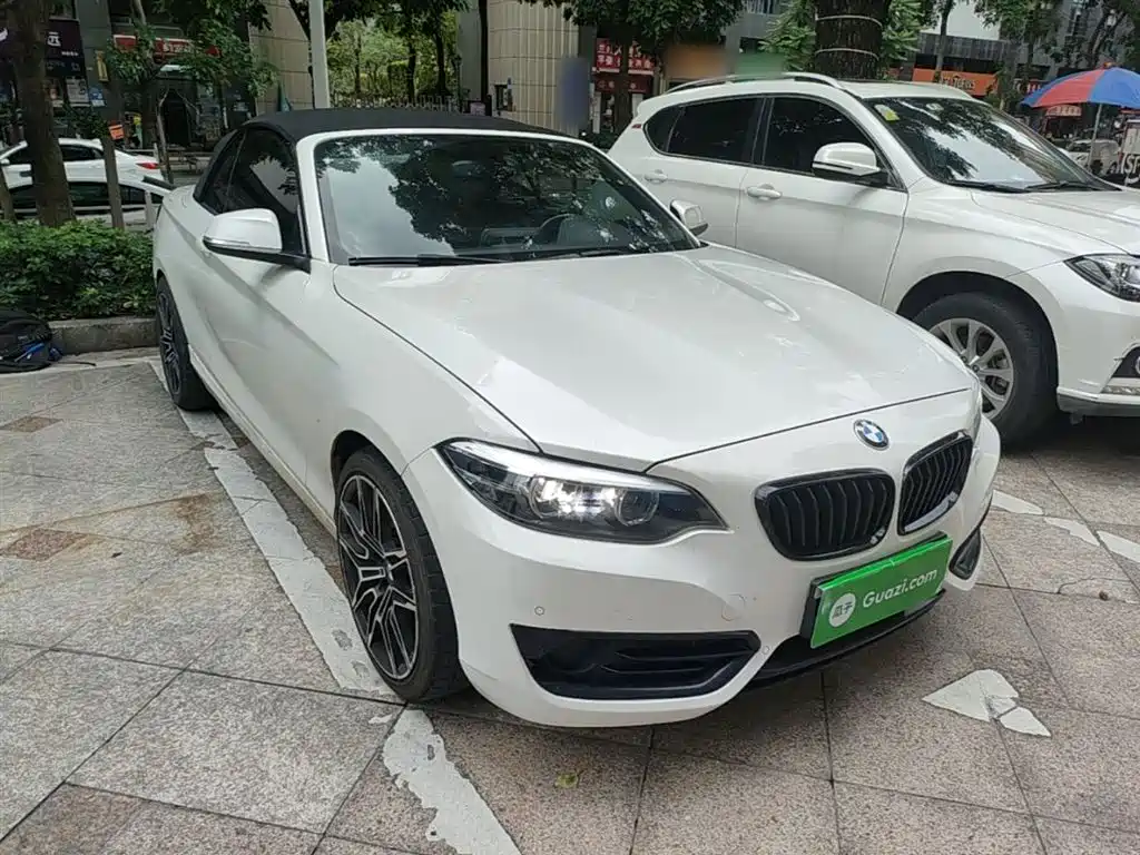 BMW 2 Series (Import) 2019 225i Convertible Coupe Sport Design Package фото 4