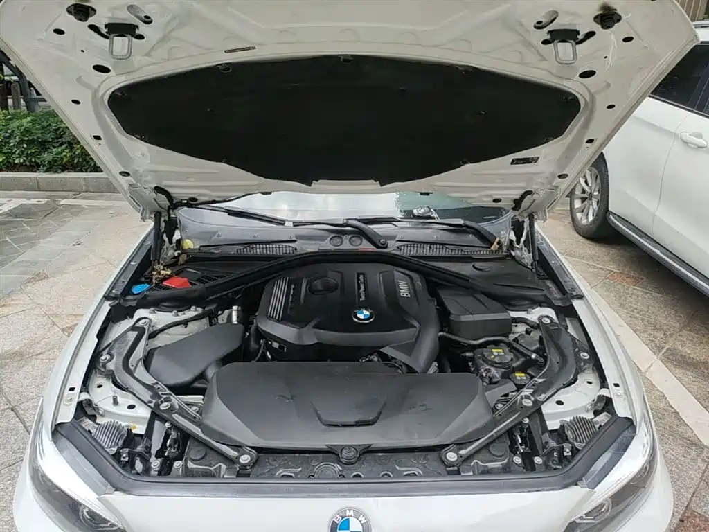 BMW 2 Series (Import) 2019 225i Convertible Coupe Sport Design Package фото 20