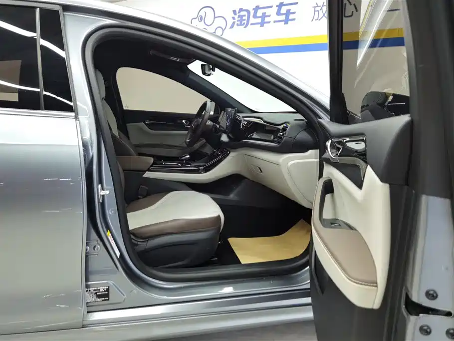 BYD Qin PLUS 2023 Champion Edition DM-i 55KM Leading фото 8