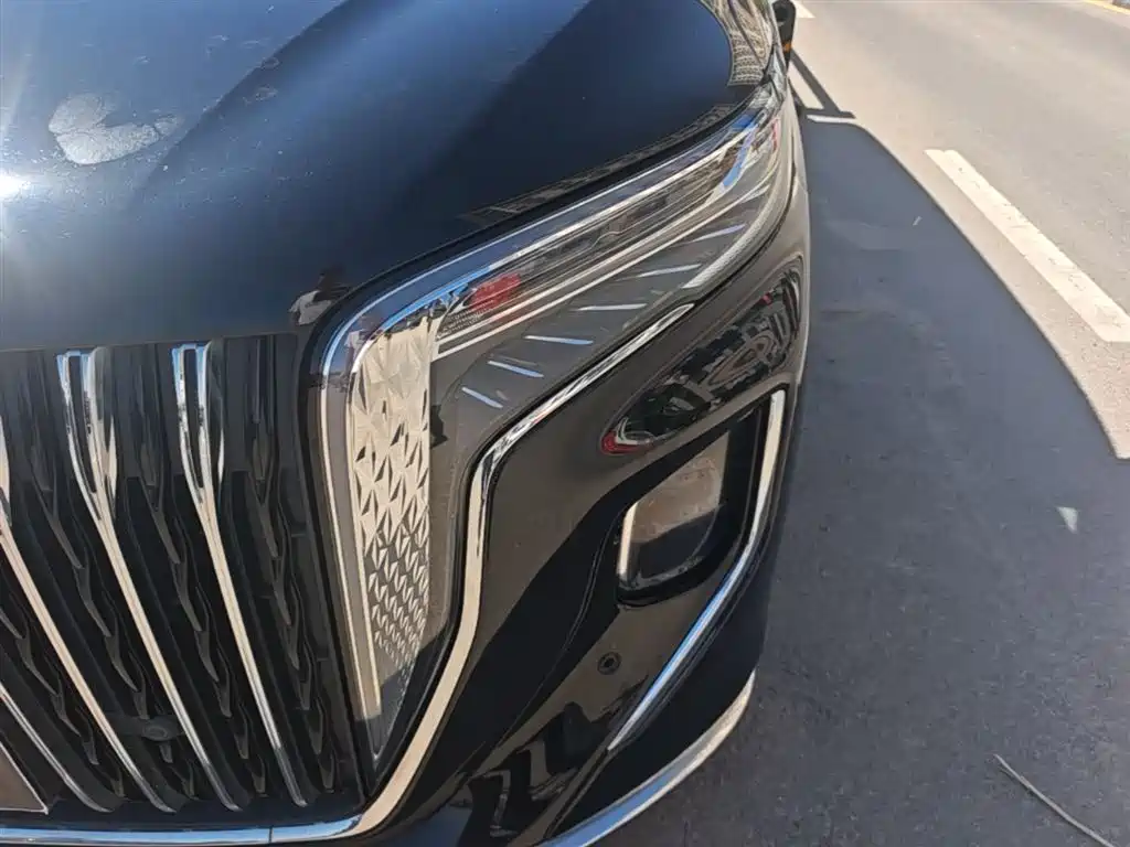 Hongqi HQ9 2023 2.0T Smart Connect Flag Enjoy Edition фото 24