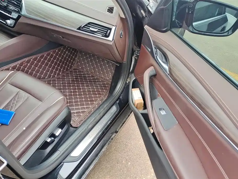 BMW 5 Series 2020 530Li xDrive Luxury Package фото 8
