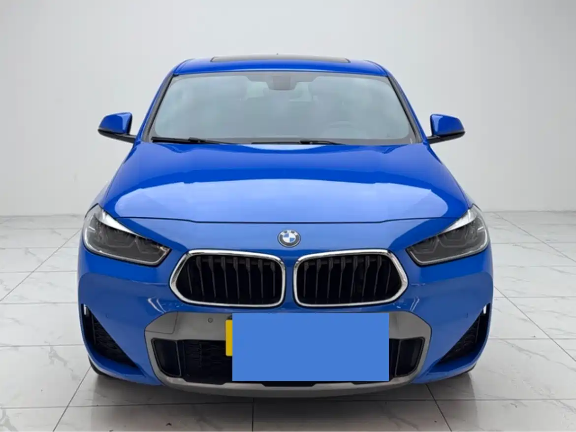 BMW X2 2020 sDrive25i Leading M Off-Road Package