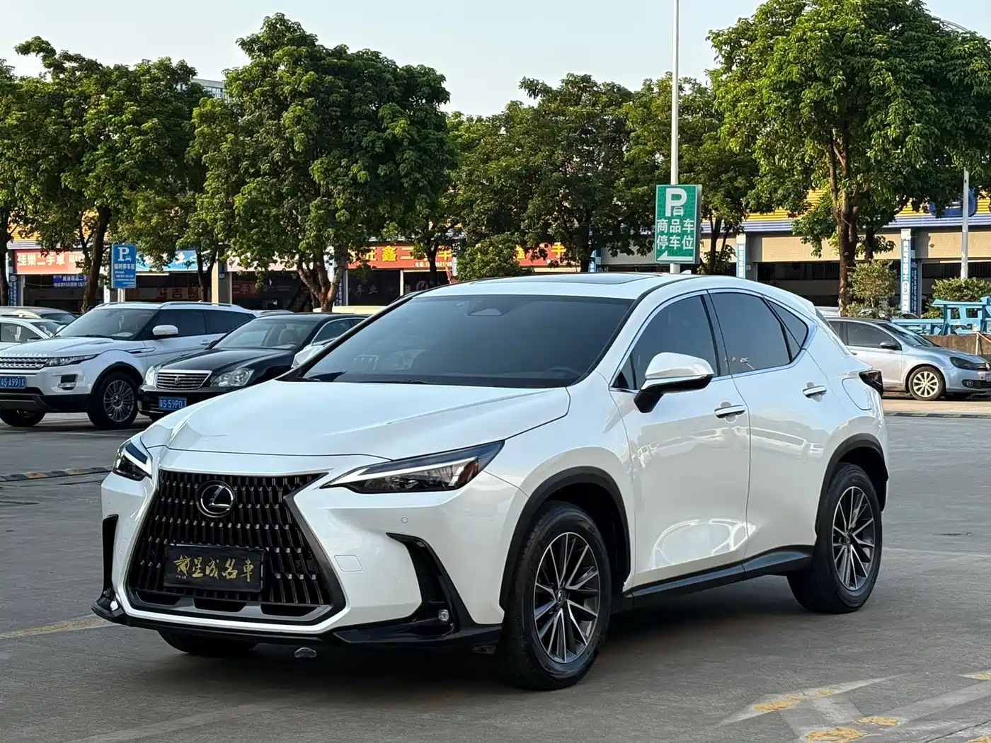 Lexus NX 2024 2023 350h FWD Joy Creation Edition