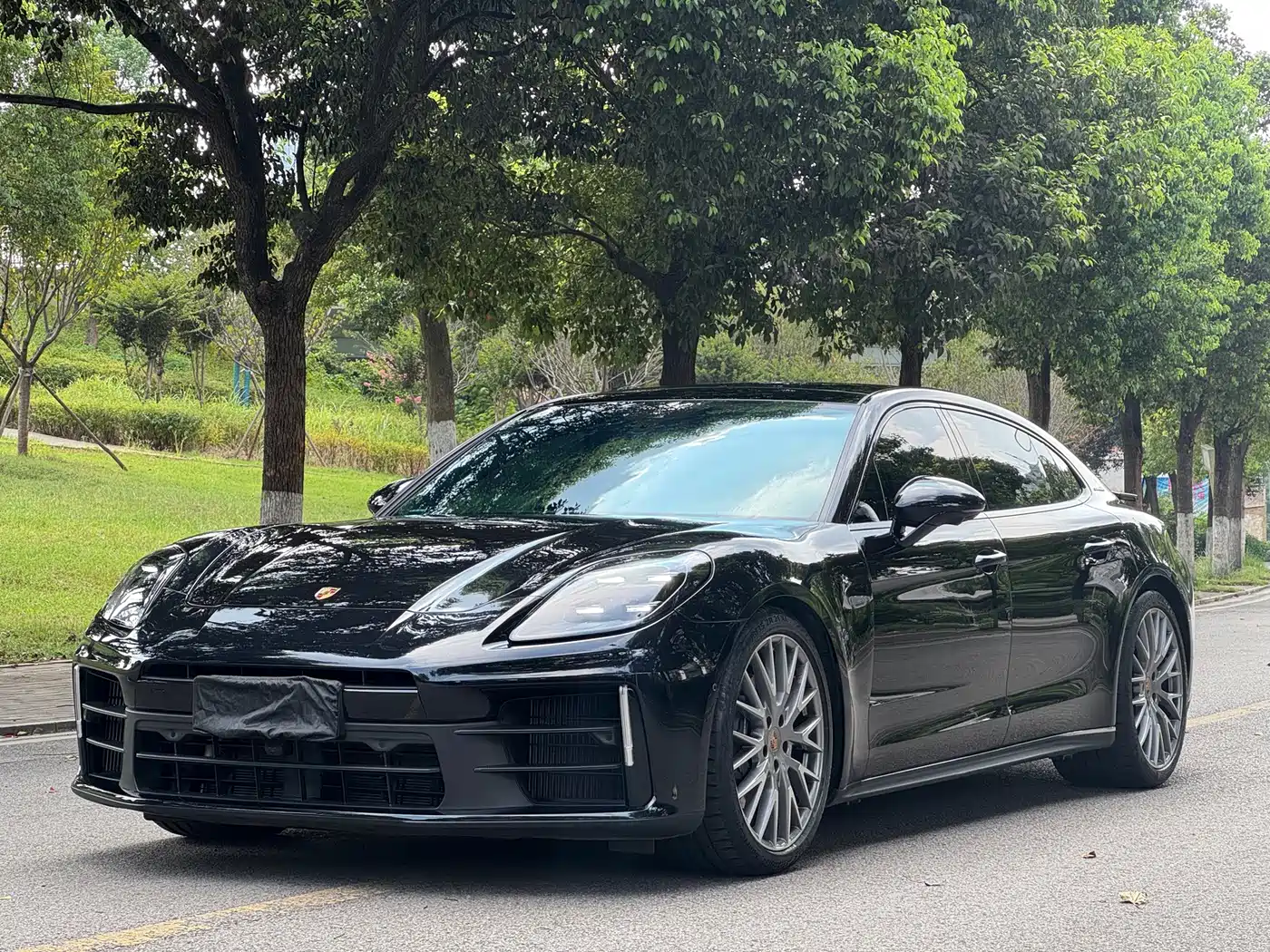 Porsche Panamera 2025 2024 Panamera Executive Long Wheelbase 2.9T