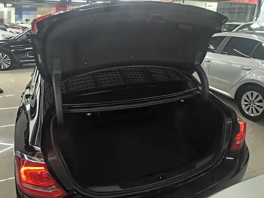 Buick LaCrosse 2016 20T Leading Type фото 19