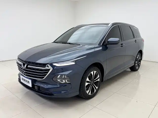 WULING WULING CAPGEMINI