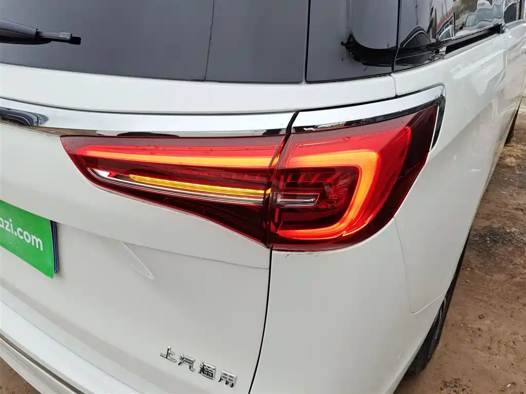 Buick GL8 2021 ES Landlord 653T Premium фото 8