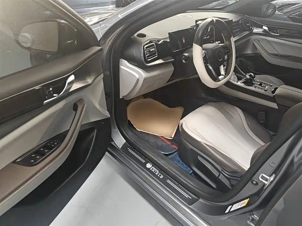 BYD Qin PLUS 2023 Champion Edition DM-i 120KM Leading Type фото 16