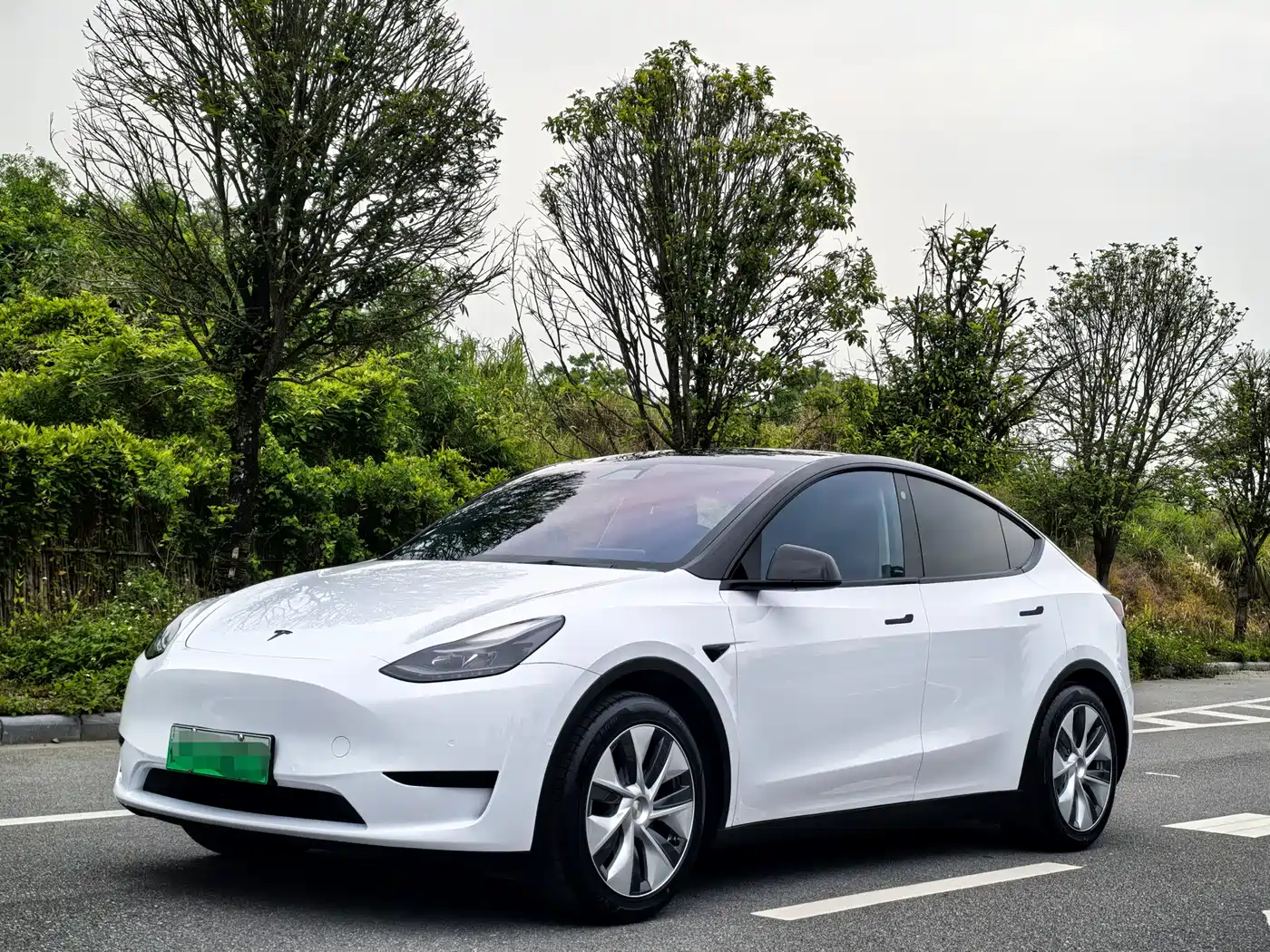 Tesla Model Y 2022 Rear-Wheel Drive Version