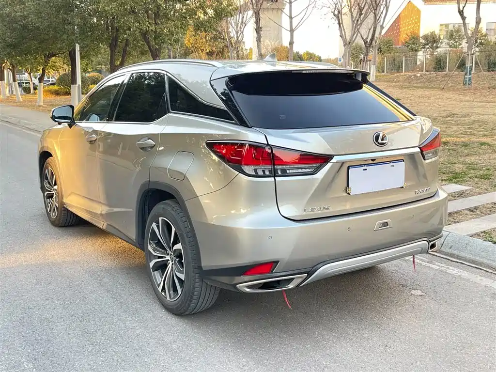 Lexus RX 2020 300 4WD Elegance Edition China VI фото 5