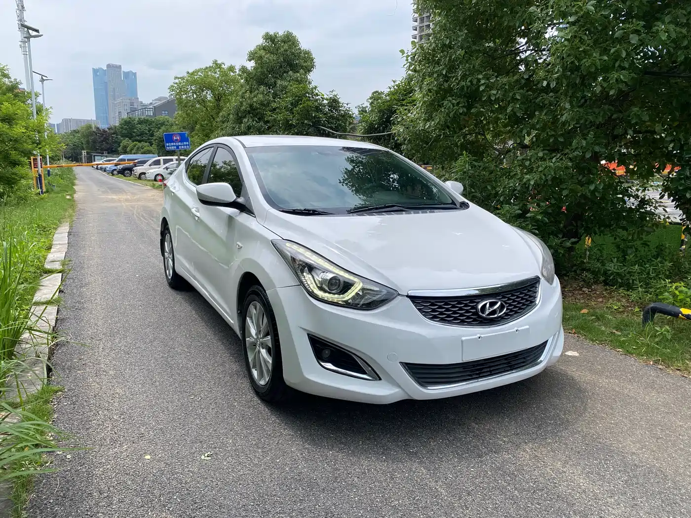 HYUNDAI LANGDONG