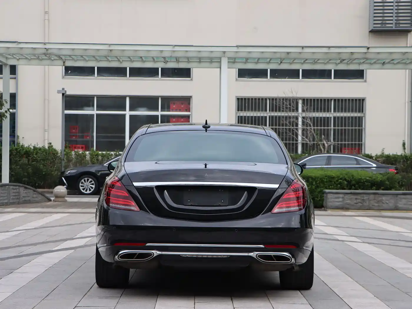 Mercedes-Benz Maybach S-Class 2020 S 450 4MATIC Collector's Edition фото 5